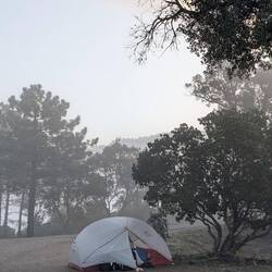 Alice a demandé a Ben de lui ouvrir une petite fenêtre pour scruter la vue depuis la tente