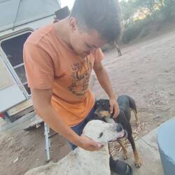 Wiederkehrende Besucher auf dem verlassenen Campingplatz.