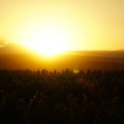 Sonnenuntergang bei einem Glas Wein mit Sicht über das Weingut.
