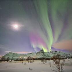 Abends wieder Polarlicht vor dem Haus