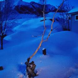 Ein schönes Hermelin Spielzeug