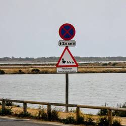 Neues Verkehrsschild 🦆🦩