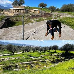 ..wir sehen,begehen und begreifen die Ausgrabungen