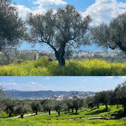 ..eine gute Kombination aus Natur und City