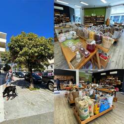 ..zurück in der Stadt