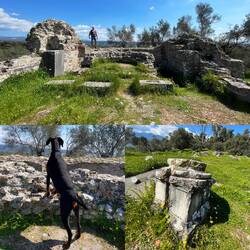 ..ja wo ist denn jetzt der Gecko🦎 hin?