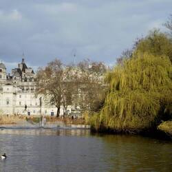 St. James Park