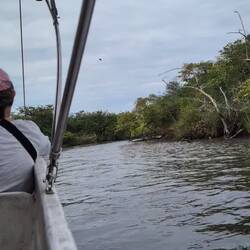 Jetzt aber schnell nach Lamanai