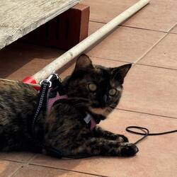 Birdies Blick sagt alles!! 😂