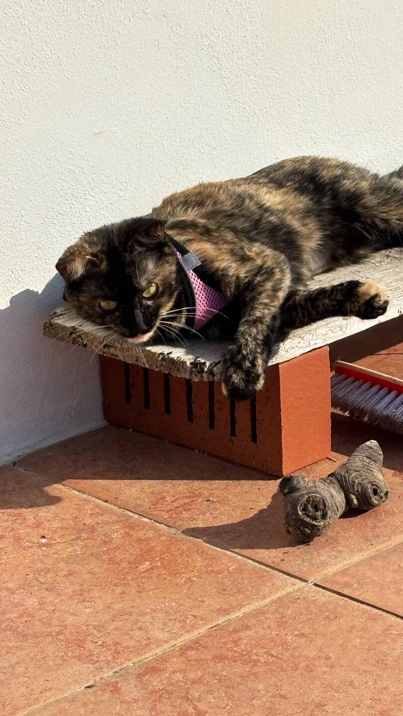 Noch ist die Ruhe nicht gestört