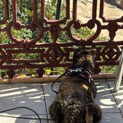 Birdie will wohl wieder mal an den Strand