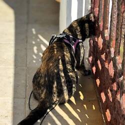 Ah, da unten ist der Strand und das Meer