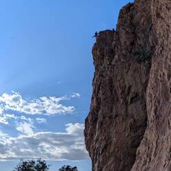 Alice en haut de son pilier