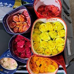 Once sorted, this is how they're packed.