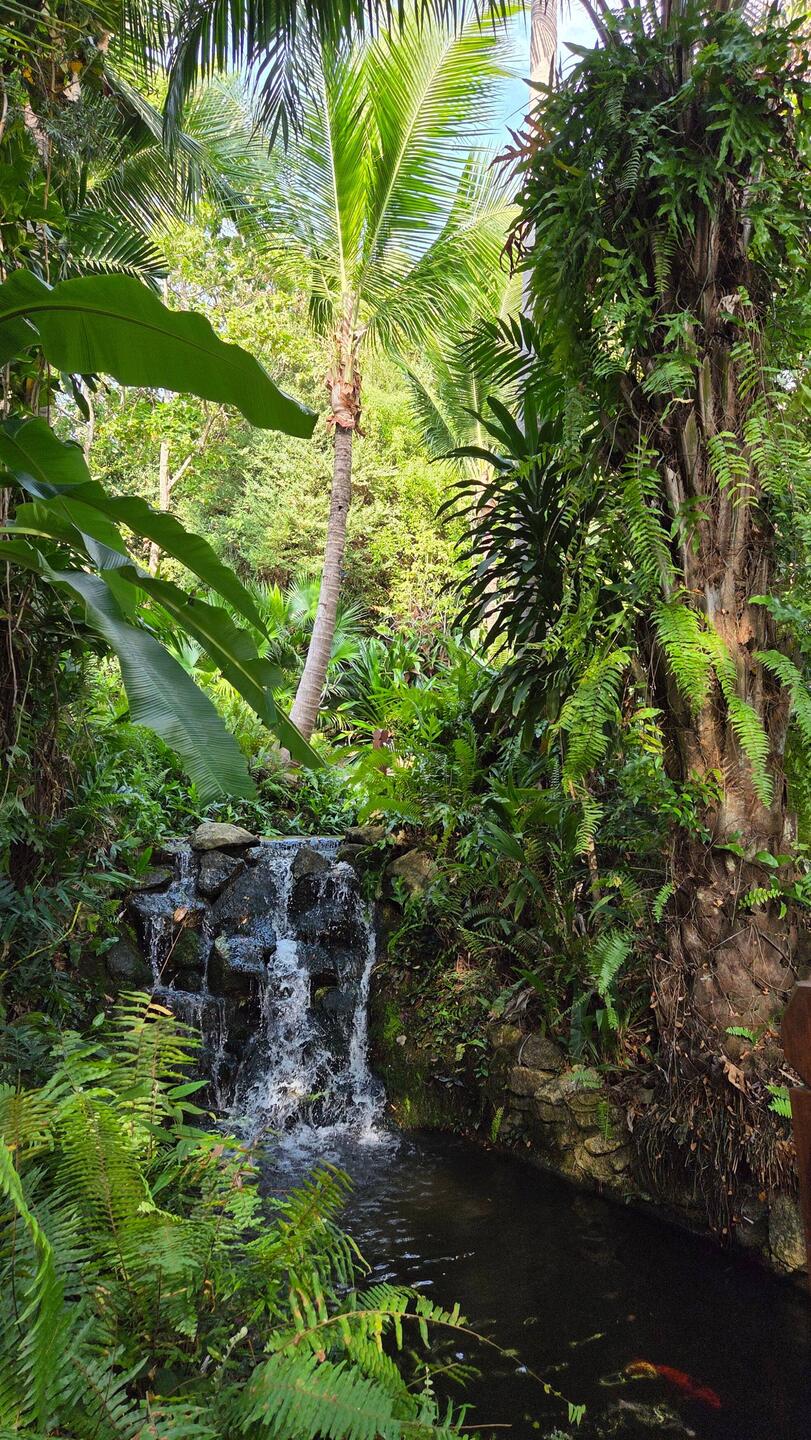 Bepflanzung des Hotels, traumhaft