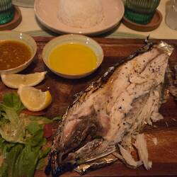 Brasse, genial zubereitet