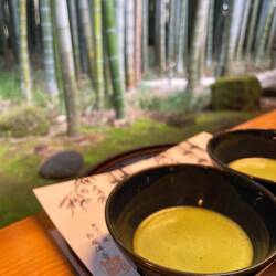 Hokokuji Temple - Green Tea & Bamboo
