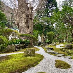 Hokokuji Temple Gardens
