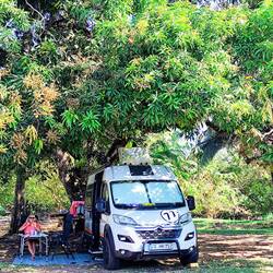 Im Schatten des riesigen Mangotrees...