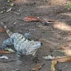 Ich sitz so nichtsahnend am Frühstückstisch ...