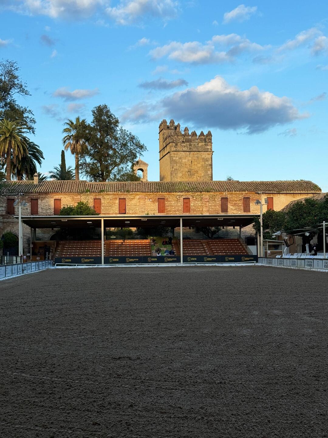 Arena