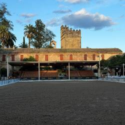 Arena