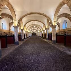 Original 16th century stables