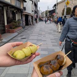 Dango mit Matcha- und Hojicha- Sauce