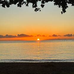 Palm Cove sunset