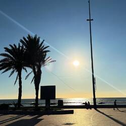 Mein Spot an der Promenade ✊🙏😍