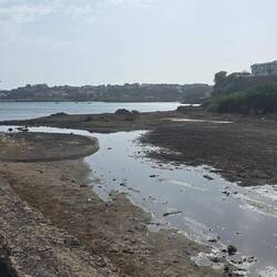 Flussbett mit wenig Wasser, aber stinkenden Chemieabfällen