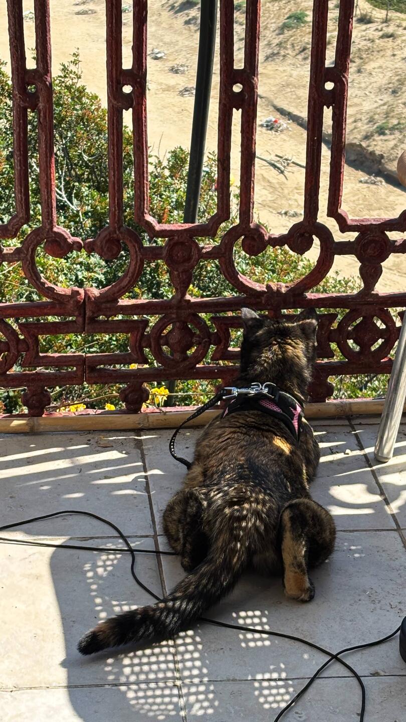 Sehnsüchtiger Blick auf den Strand