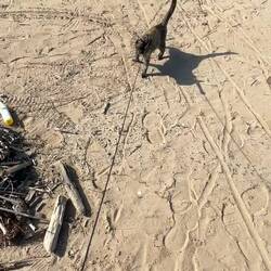 Sie ist so mutig und tüchtig!