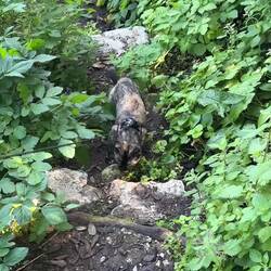 Und wieder zurück zur Casa Zaiana