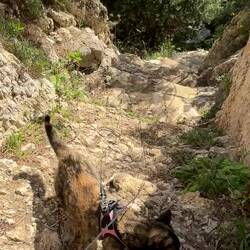 Wo geht's denn da hin? Ah zum Strand. 😂🥰