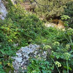DAS ist der Weg zum Strand. Eilig sollte man es nicht haben 😂