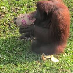 1min, um den Stoff abzukriegen
