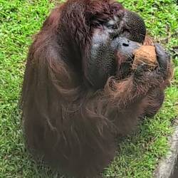 Löcher bohren und Milch checken