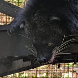 Was machen die denn da draußen?