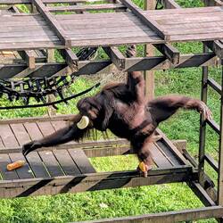 Melone im Mund und Eisflasche sichern