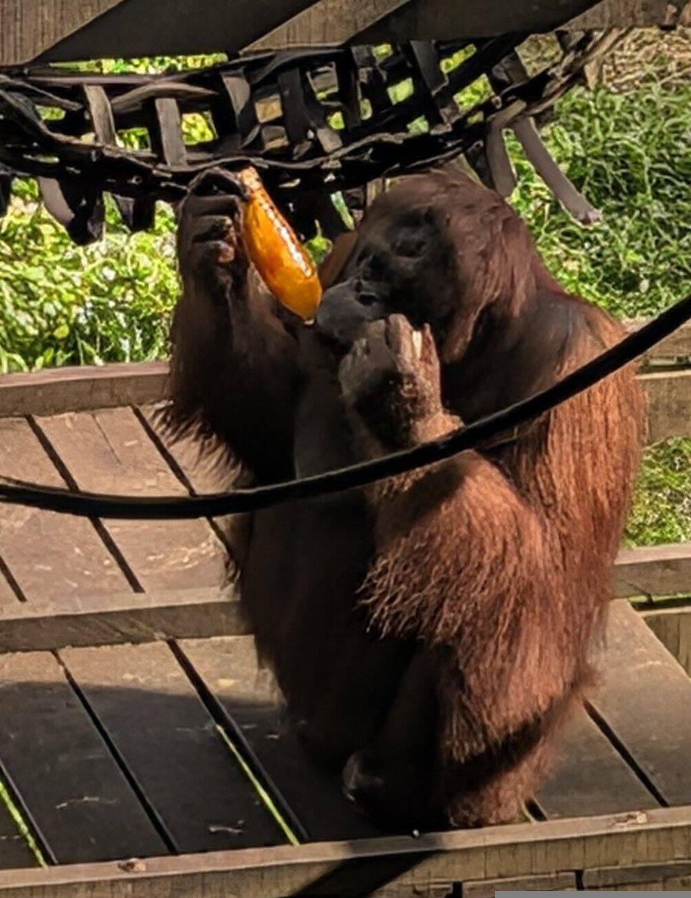 Flasche öffnen und Eis lutschen