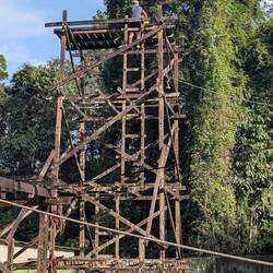 Da oben hab ich die Kokosnuss versteckt 😇