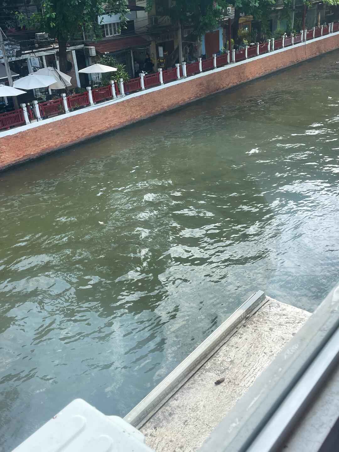 View from our hotel room