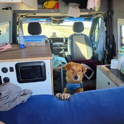 Hey guys! Time to get up, you have been in bed long enough!