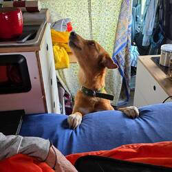 Hey guys, how about getting up! Enough schmoozing for today!