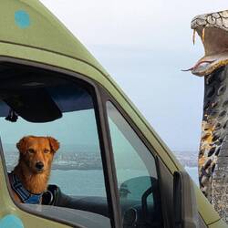 In Safi, home to the longest tunnel wave in the world, called the "snake"