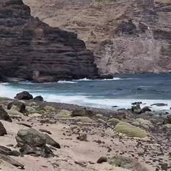 Man kann sich gar nicht satt sehen!