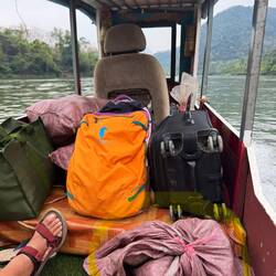 Bag of chickens cargo