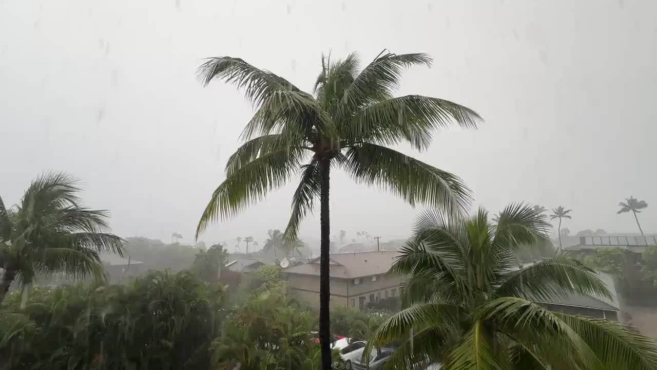 Morgens, halb 9, in Maui