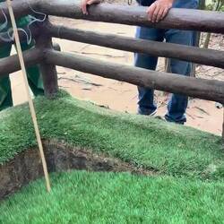 Trap with bamboo spikes